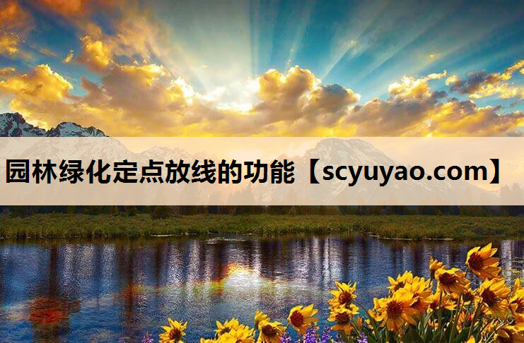 园林绿化定点放线的功能