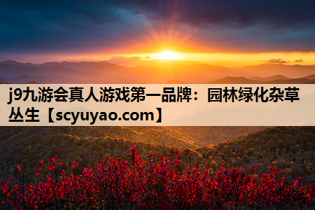 j9九游会真人游戏第一品牌：园林绿化杂草丛生