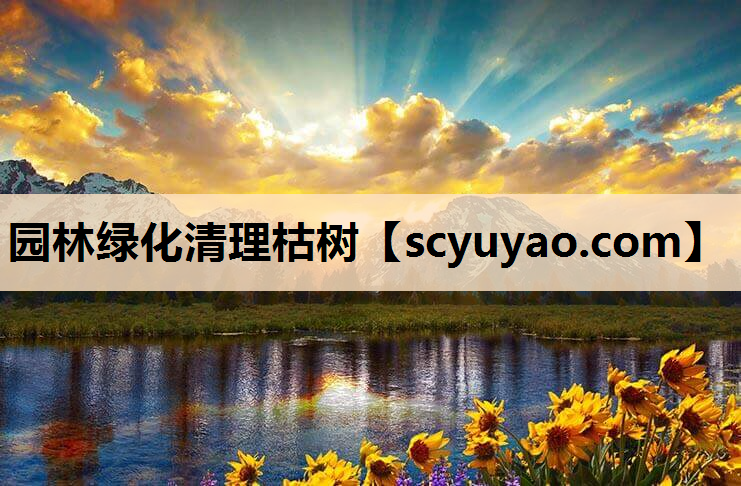 园林绿化清理枯树