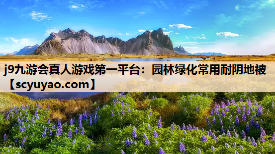 j9九游会真人游戏第一平台：园林绿化常用耐阴地被