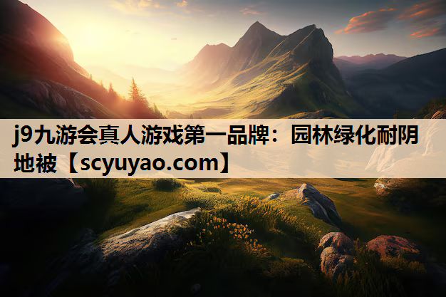 j9九游会真人游戏第一品牌：园林绿化耐阴地被