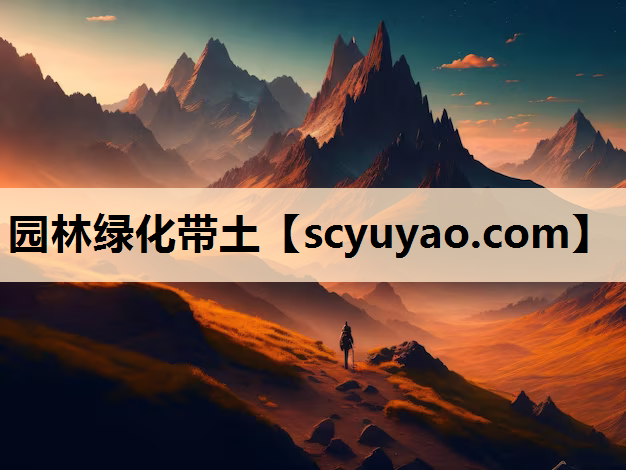 园林绿化带土
