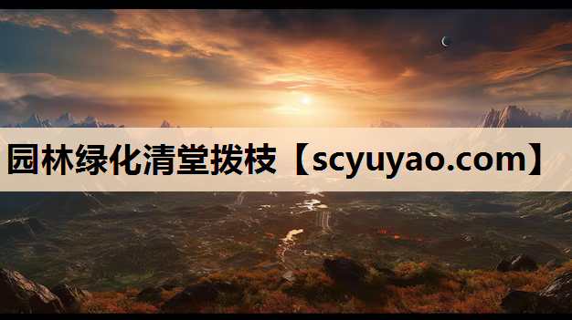 园林绿化清堂拨枝