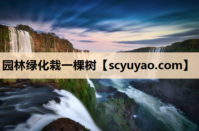 园林绿化栽一棵树
