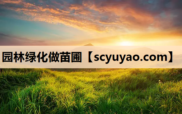 园林绿化做苗圃