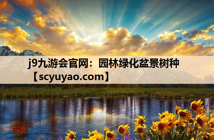 j9九游会官网：园林绿化盆景树种