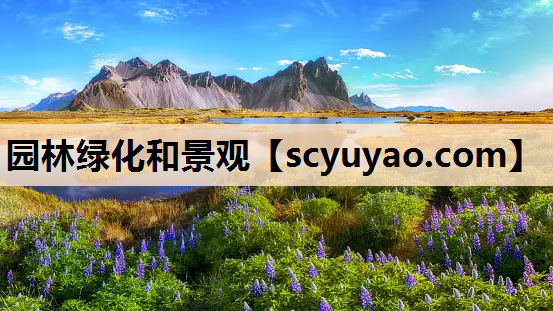 园林绿化和景观