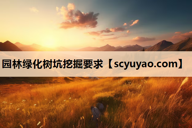 园林绿化树坑挖掘要求