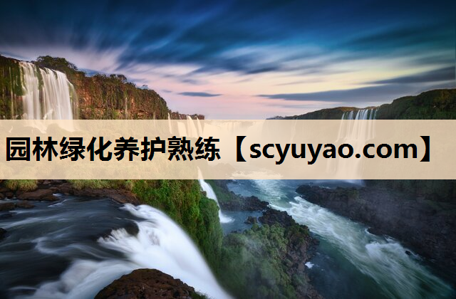 园林绿化养护熟练