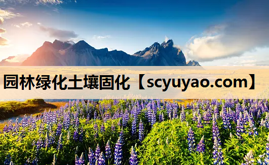 园林绿化土壤固化