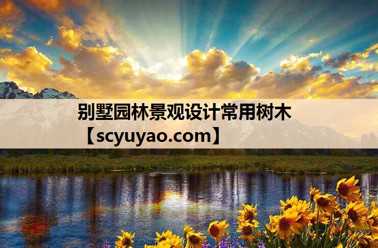 别墅园林景观设计常用树木