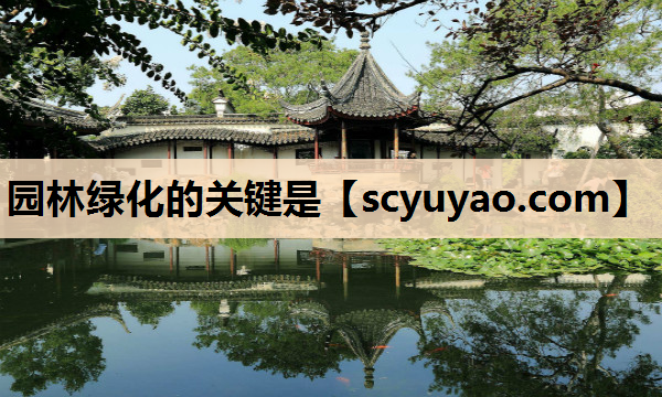 园林绿化的关键是