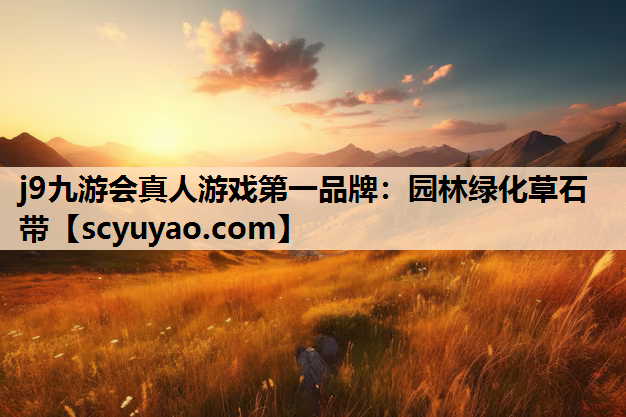 j9九游会真人游戏第一品牌：园林绿化草石带