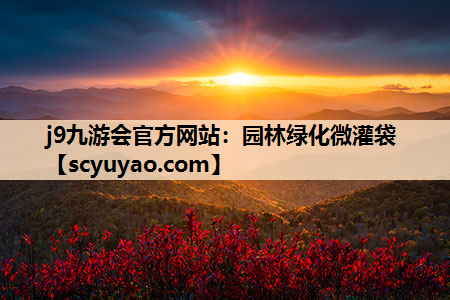 j9九游会官方网站：园林绿化微灌袋