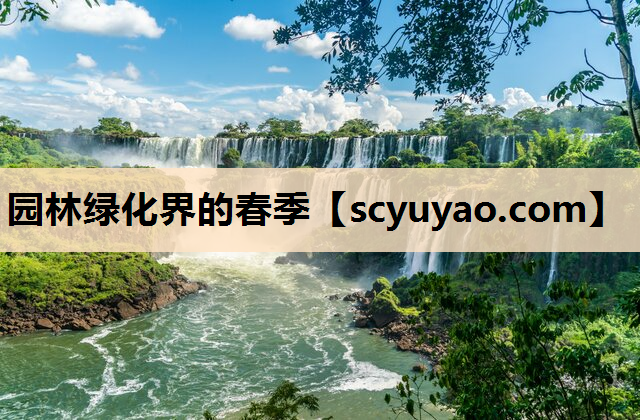 园林绿化界的春季