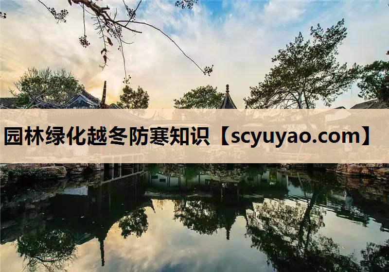 园林绿化越冬防寒知识