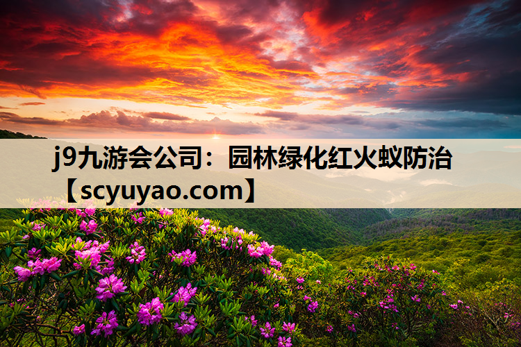 j9九游会公司：园林绿化红火蚁防治