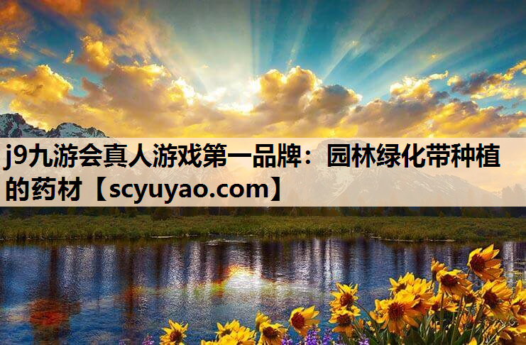 j9九游会真人游戏第一品牌：园林绿化带种植的药材