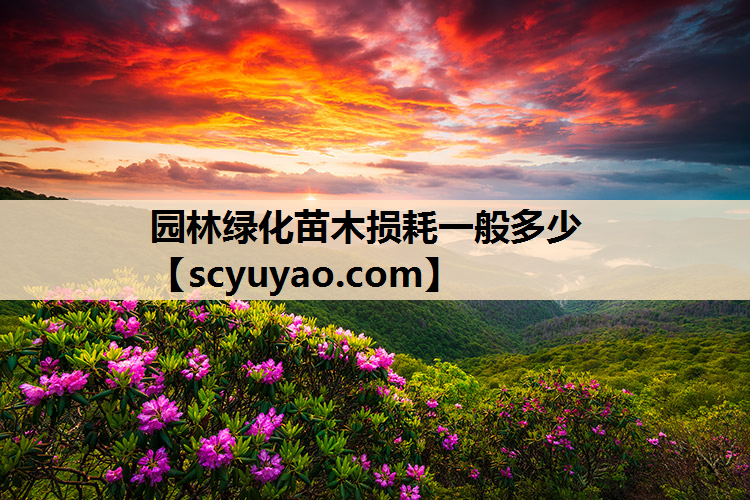 园林绿化苗木损耗一般多少