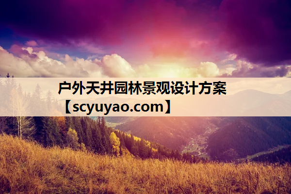 户外天井园林景观设计方案