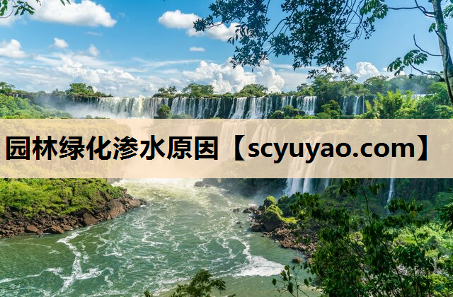 园林绿化渗水原因