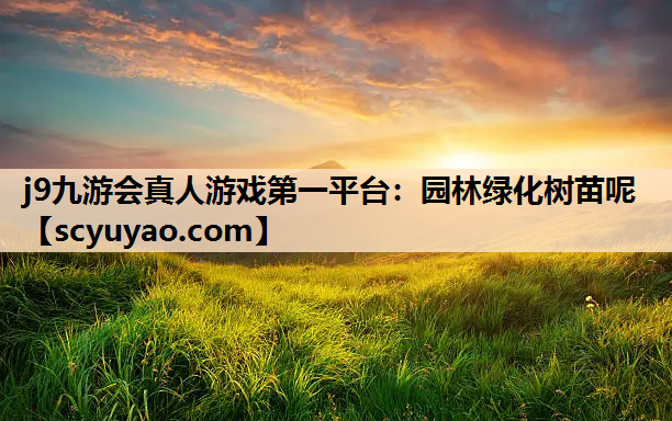 j9九游会真人游戏第一平台：园林绿化树苗呢