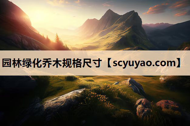 园林绿化乔木规格尺寸
