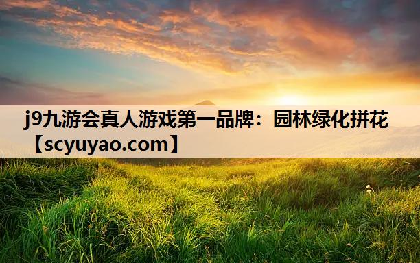 j9九游会真人游戏第一品牌：园林绿化拼花