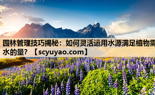 园林管理技巧揭秘：如何灵活运用水源满足植物需水的量？