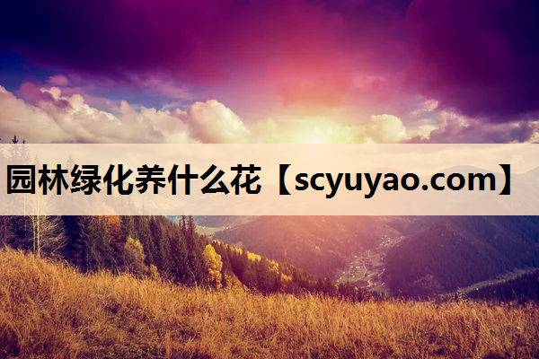 园林绿化养什么花