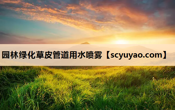 园林绿化草皮管道用水喷雾