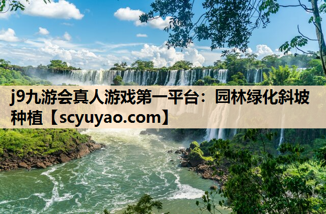j9九游会真人游戏第一平台：园林绿化斜坡种植
