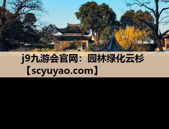 j9九游会官网：园林绿化云杉