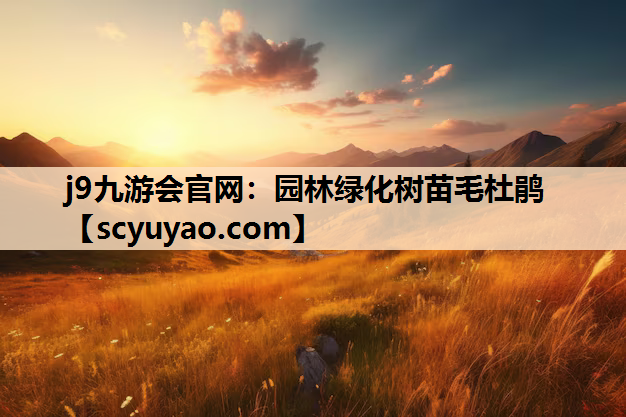 j9九游会官网：园林绿化树苗毛杜鹃