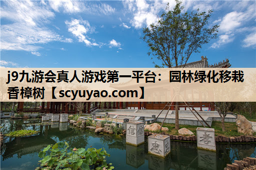 j9九游会真人游戏第一平台：园林绿化移栽香樟树
