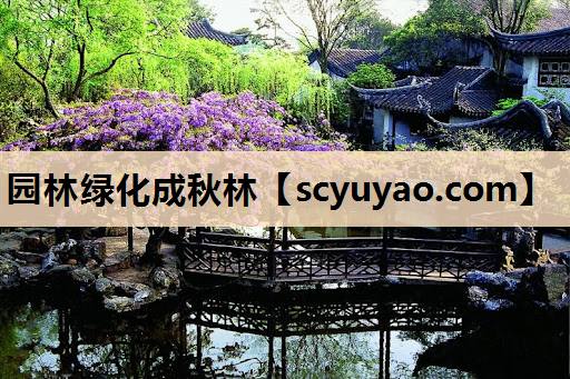 园林绿化成秋林