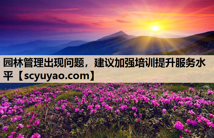 园林管理出现问题，建议加强培训提升服务水平