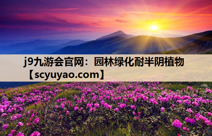 j9九游会官网：园林绿化耐半阴植物
