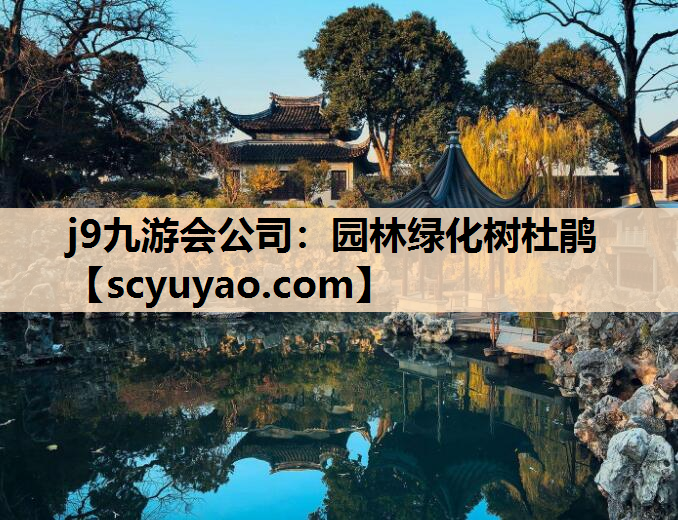 j9九游会公司：园林绿化树杜鹃