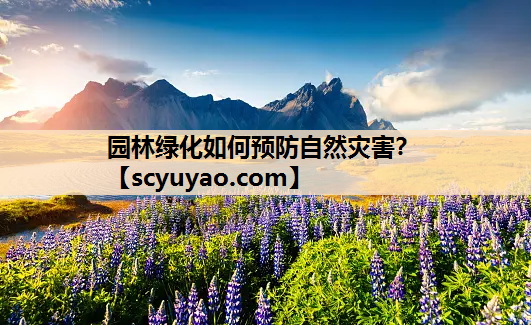 园林绿化如何预防自然灾害？