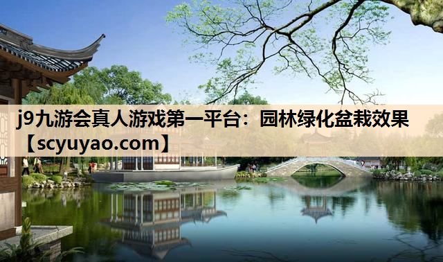 j9九游会真人游戏第一平台：园林绿化盆栽效果