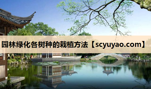园林绿化各树种的栽植方法