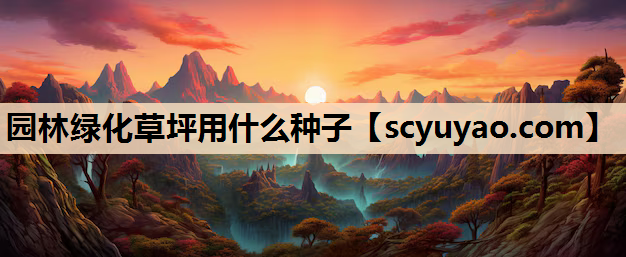 园林绿化草坪用什么种子