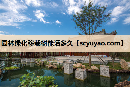 园林绿化移栽树能活多久