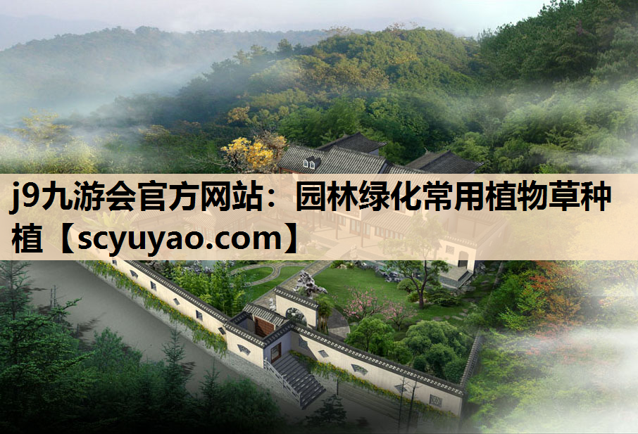j9九游会官方网站：园林绿化常用植物草种植