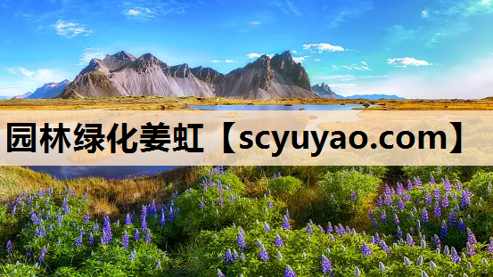 园林绿化姜虹