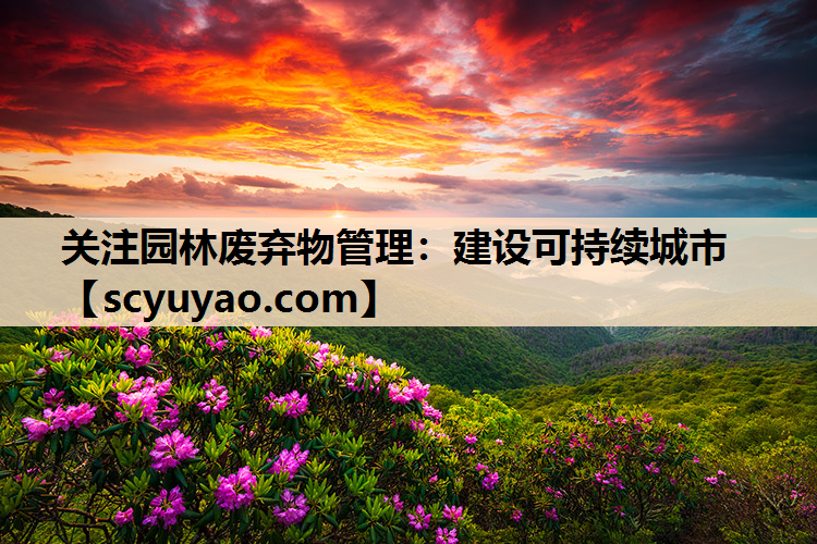 关注园林废弃物管理：建设可持续城市