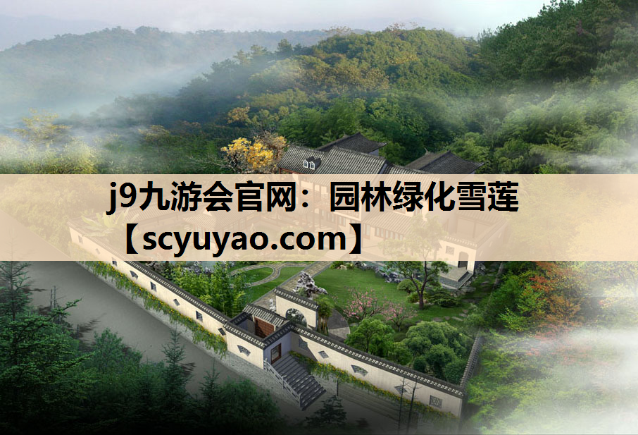 j9九游会官网：园林绿化雪莲