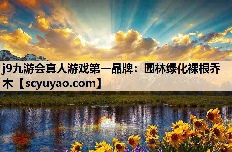 j9九游会真人游戏第一品牌：园林绿化裸根乔木