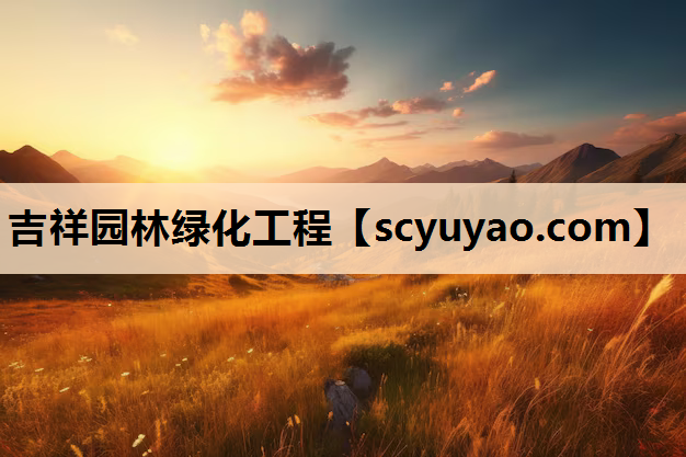 吉祥园林绿化工程
